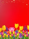 Flowers tulips roses spring nature background