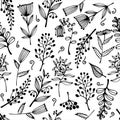 Flowers, branches, herbs seamless vector pattern. Hand-drawn doodles on a white background. Field plants with inflorescences Royalty Free Stock Photo