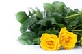 Flowers Two yellow roses. Bouquet. On a white Royalty Free Stock Photo