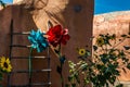 Flowers under an adobe wall