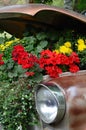 Flowers under the hood of an old car