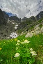 Flowers under Pfinnova kopa mountain over Kotlina piatich Spisskych plies valley
