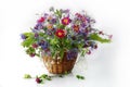 Flowers in a vase.A bouquet of blue cornflowers, daisies in a basket on a white background Royalty Free Stock Photo