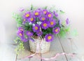 Flowers in a vase.A bouquet of blue daisies in a basket Royalty Free Stock Photo