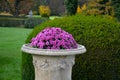 flowers in a vase in an italian formal garden. the container Royalty Free Stock Photo