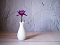 Flowers in vase on table vintage texture background ,copy space for letter, water lily flower in white vase old wall for wallpaper Royalty Free Stock Photo