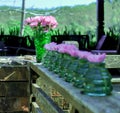 Flowers in a vase on a wooden balcony.