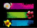 Flowers vector composition Royalty Free Stock Photo