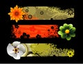 Flowers vector composition Royalty Free Stock Photo