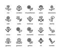 Flowers vector line icons. Isolated icon collection on white background. Flowers symbol vector set. Royalty Free Stock Photo