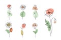 Flowers vector set illustration in simple minimal continuous outline line style. Nature blossom art for floral botanical