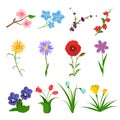 Flowers Vector Set On White Background. Garden Wild Flower Icons. Floral Icons, Summer Spring Flat. Rose, Iris, Tulip