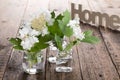 Flowers of viburnum in glass vases