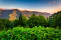 Flowers and view of the Blue RIdge at sunrise, seen from Mt. Mit Royalty Free Stock Photo