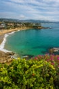 Flowers and view of the Pacific Coast from Crescent Bay Point Royalty Free Stock Photo