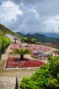 Flowers in the Villa Rufolo gardens in Ravello, Italy