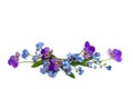 Flowers viola tricolor ( pansy ) and blue wildflowers forget-me-nots on a white background with space for text Royalty Free Stock Photo