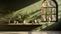 Organic Architecture: Naturalistic Shadows On Olive Wall