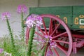 Flowers and Wagon Wheel Royalty Free Stock Photo