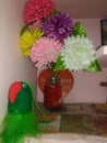 Flowers of wall attached parrot and pot