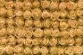 Flowers wall background with amazing white or cream roses. flower pattern backgrounds. Royalty Free Stock Photo
