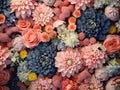 Flowers wall background with colorful fresh flowers such as roses, chrysanthemum, in the style of an aerial view Royalty Free Stock Photo