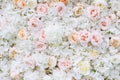 Flowers wall background with white and light orange roses