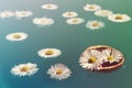 Flowers in walnut shell floats on the water like small boat Royalty Free Stock Photo