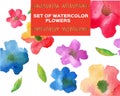 Flowers wanercolor set Royalty Free Stock Photo