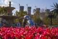 Flowers and water fountain architecture in the park