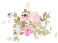 Flowers watercolor illustration