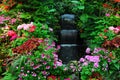 Flowers, waterfall in garden