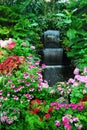 Flowers, waterfall in garden