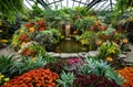 Beautiful indoor garden and waterfall Royalty Free Stock Photo