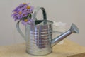 Flowers in a watering can standing on the table Royalty Free Stock Photo