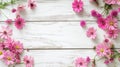 White wooden spring background with pink daisy flowers Royalty Free Stock Photo