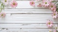 White wooden spring background with pink daisy flowers Royalty Free Stock Photo