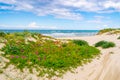 Flowers and white sand in Platamona