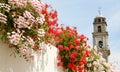 Flowers on the white streets