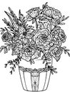 Flowers wild Rose in a vase, isolated object. Coloring book antistress for children and adults.