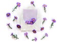 Flowers wild violet asters in postal envelope with violet paper card note with space for text on a white background. Top view, Royalty Free Stock Photo