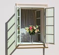 Flowers in a window Royalty Free Stock Photo