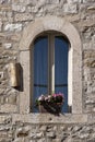 Flowers on the window Royalty Free Stock Photo