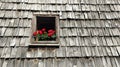 Flowers in window box in wood shingle roof Royalty Free Stock Photo