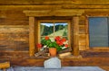 Flowers on the window of a home in an ancient building Royalty Free Stock Photo