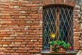 Flowers on a window sill in Tuscany Royalty Free Stock Photo