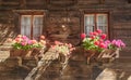 Flowers in the windows Royalty Free Stock Photo