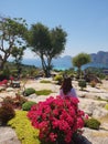 Flowers and woman ocean view Royalty Free Stock Photo