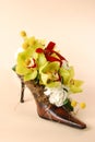 Flowers in a woman shoe