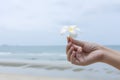 Flowers in women's hands Royalty Free Stock Photo